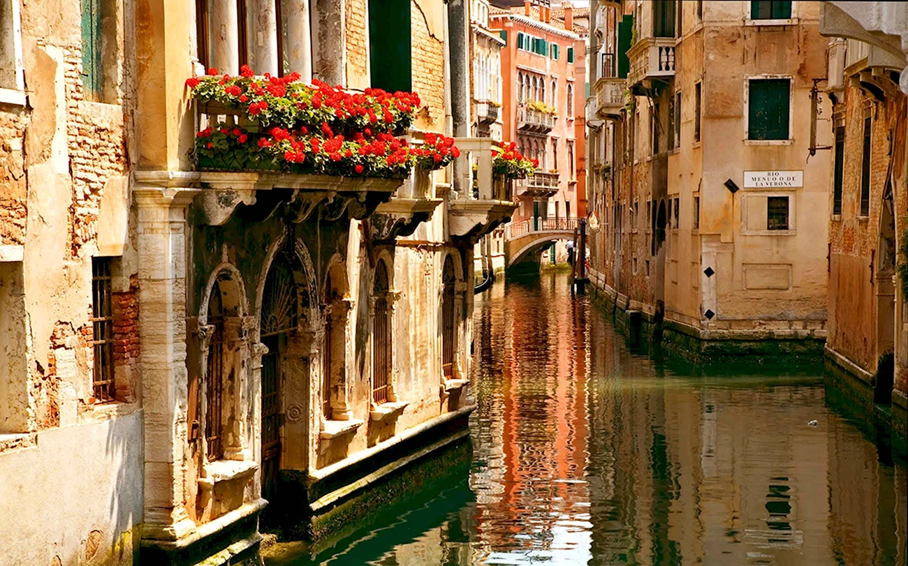 1486 Венеция. Картинка