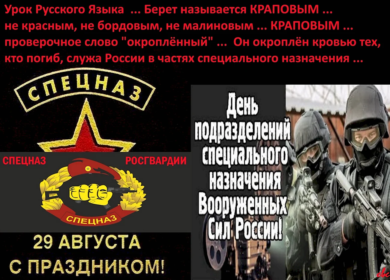 29 Августа праздник спецназа ВВ МВД РФ внутренние войска. Поздравление
