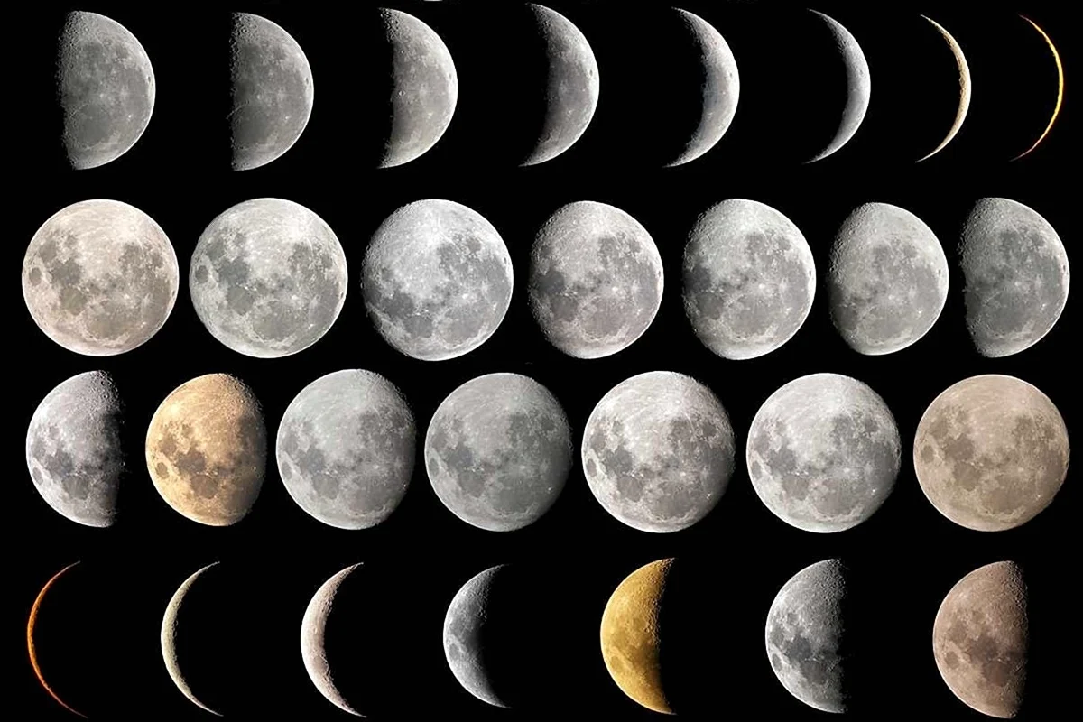 Два новолуния. Фазы Луны phases of the Moon. Фазы Луны новолуние растущая Луна полнолуние убывающая Луна. Ф̆̈ӑ̈з̆̈ы̆̈ Л̆̈ў̈н̆̈ы̆̈. Пятая фаза Луны.