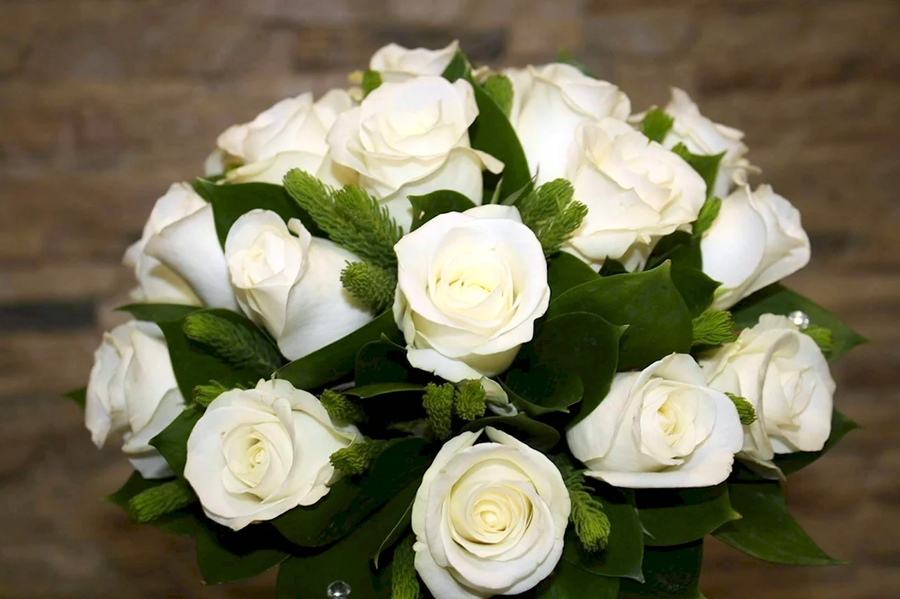 31 Белая эквадорская роза 70см. Красивая картинка