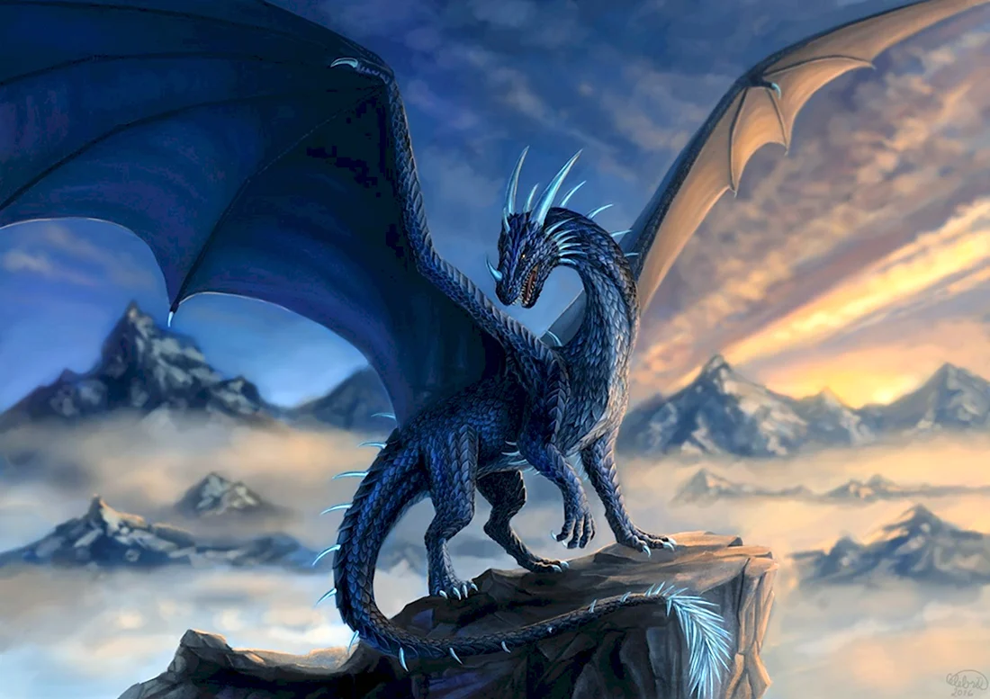 Аэсоннэ драконица. Красивые картинки животных