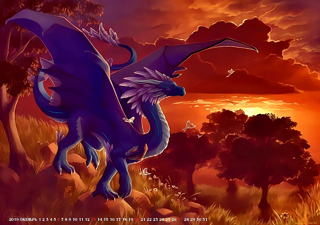 Аэсоннэ драконица. Красивые картинки животных