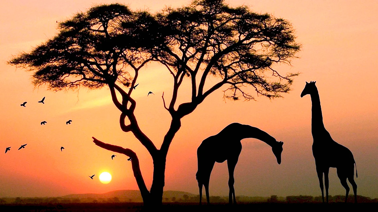 Африканский пейзаж. Картинка