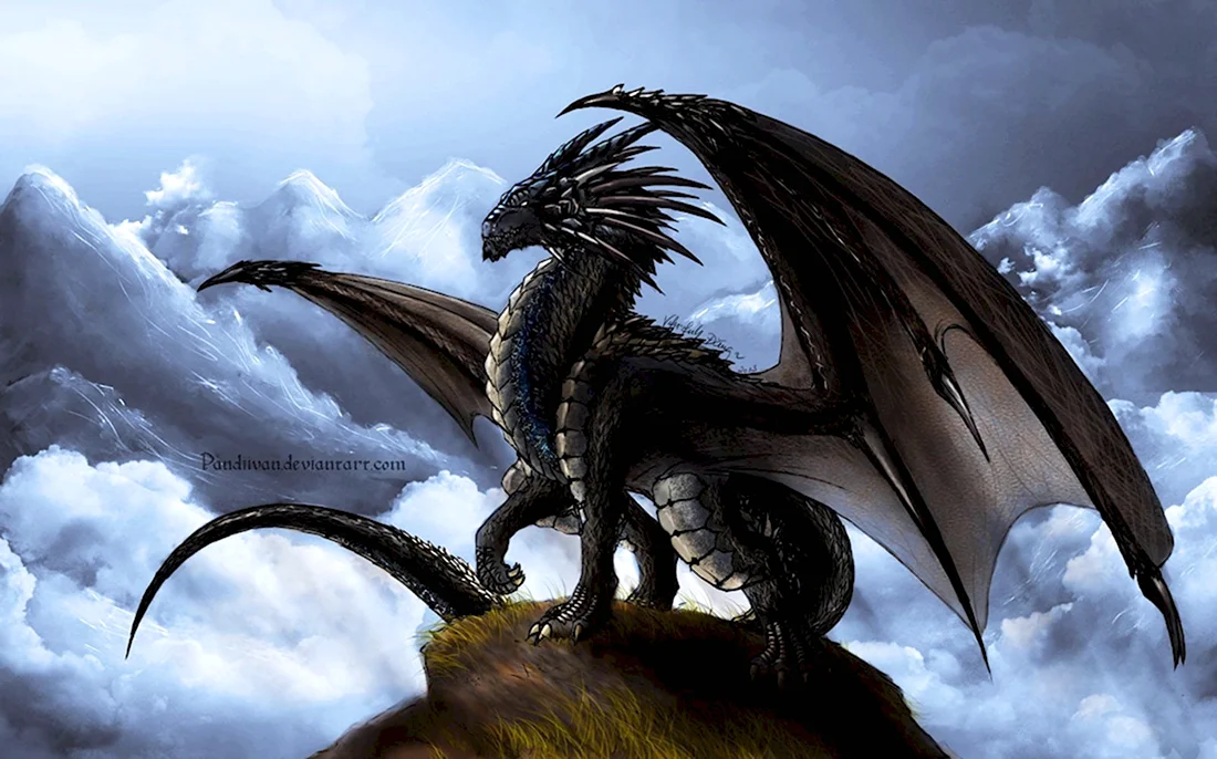 Агулшап дракон. Красивые картинки животных