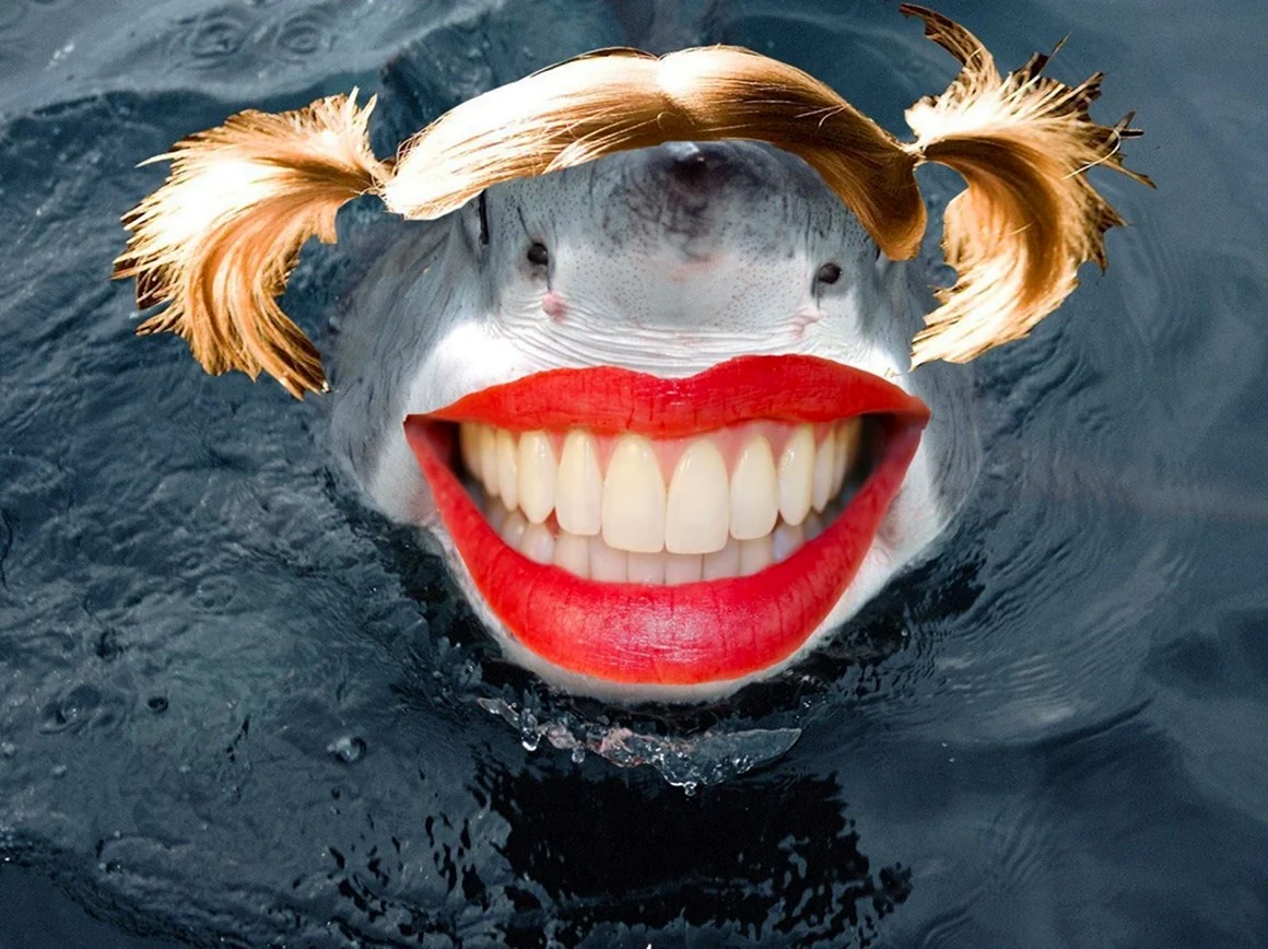Акула улыбается. Красивое животное