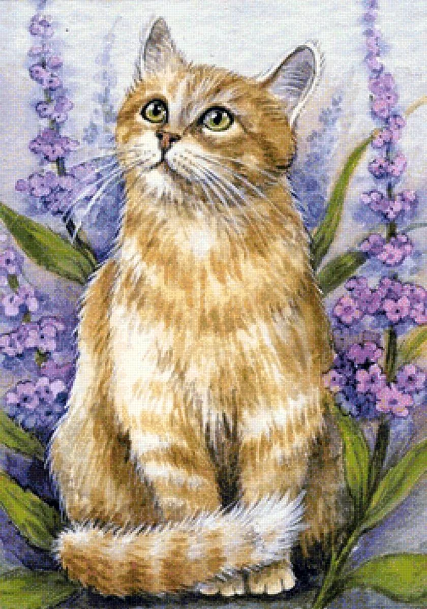 Акварельные котыамериканская художница Elena Mezhibovsky. Красивые картинки животных