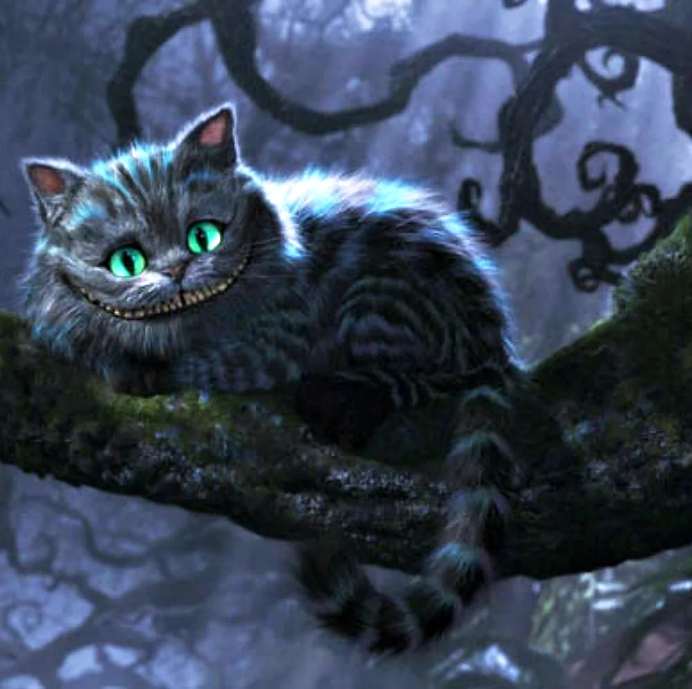 Алиса в стране чудес Шеверский кот. Красивое животное