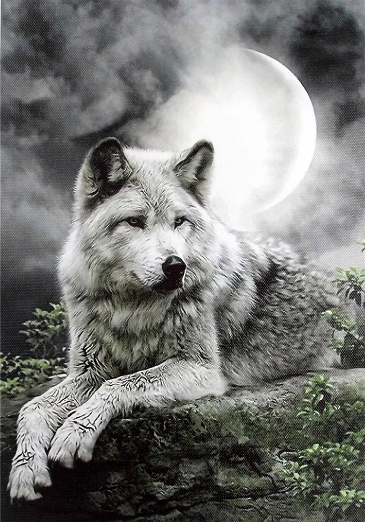 Алмазная мозаика 5d волк. Красивая картинка