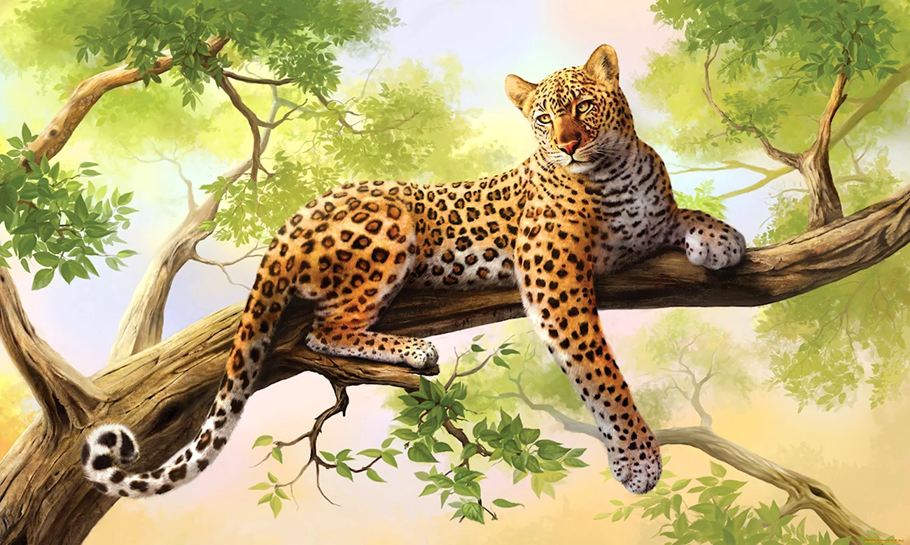 Алмазная мозаика леопард 40х50. Красивая картинка