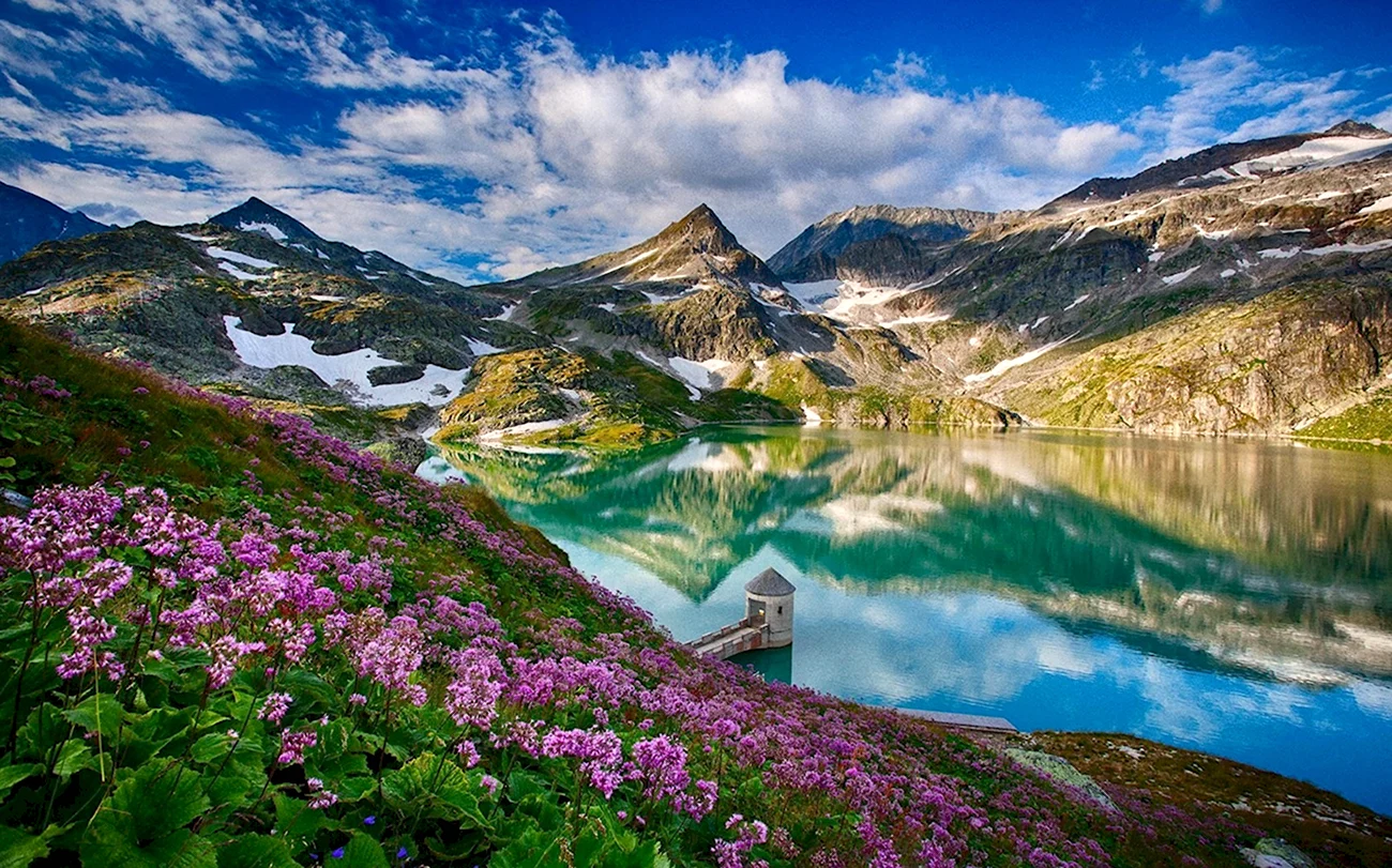 Альпийские Луга Франции. Красивая картинка