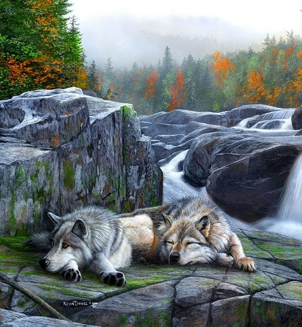 Американский художник реалист Кевин Даниэль. Красивое животное