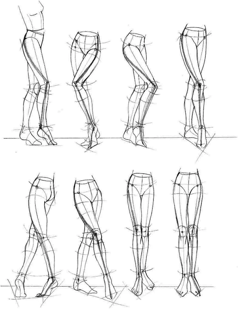 Анатомия ног для рисования. Для срисовки