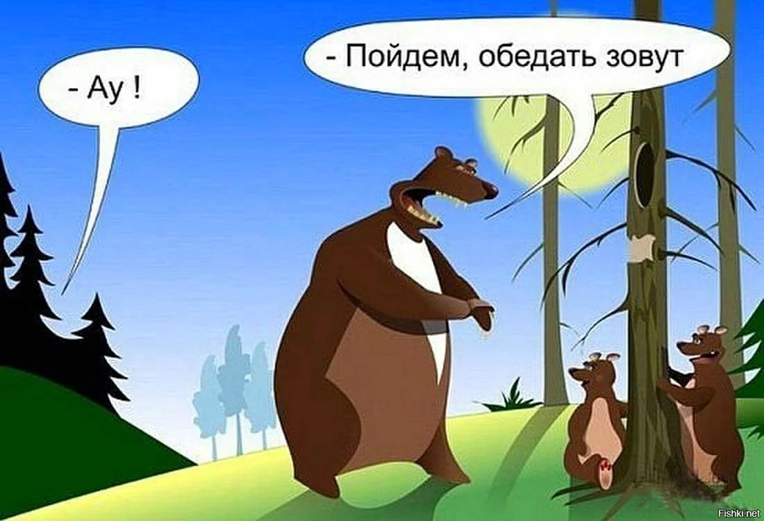 Анекдот про медведя. Картинка