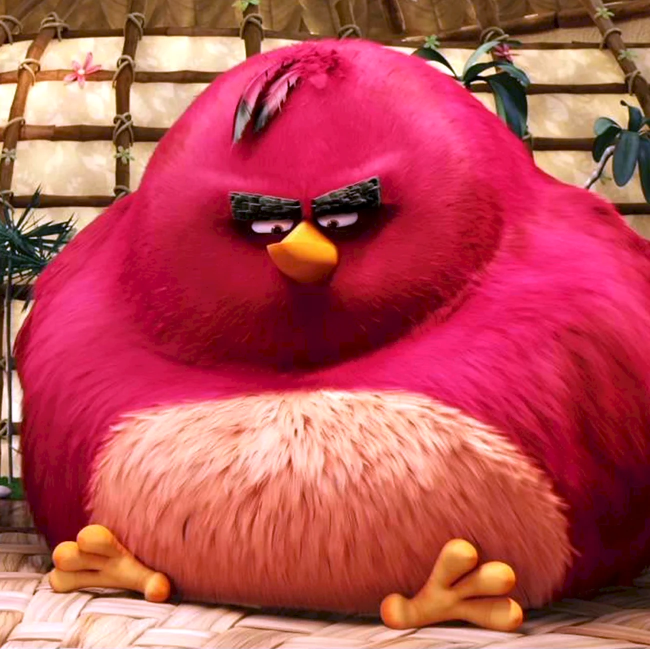 Angry Birds Теренс. Картинка из мультфильма
