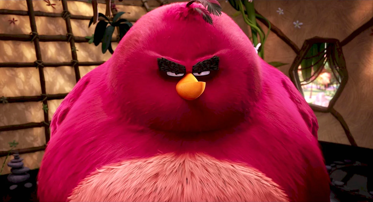 Angry Birds Теренс. Картинка из мультфильма