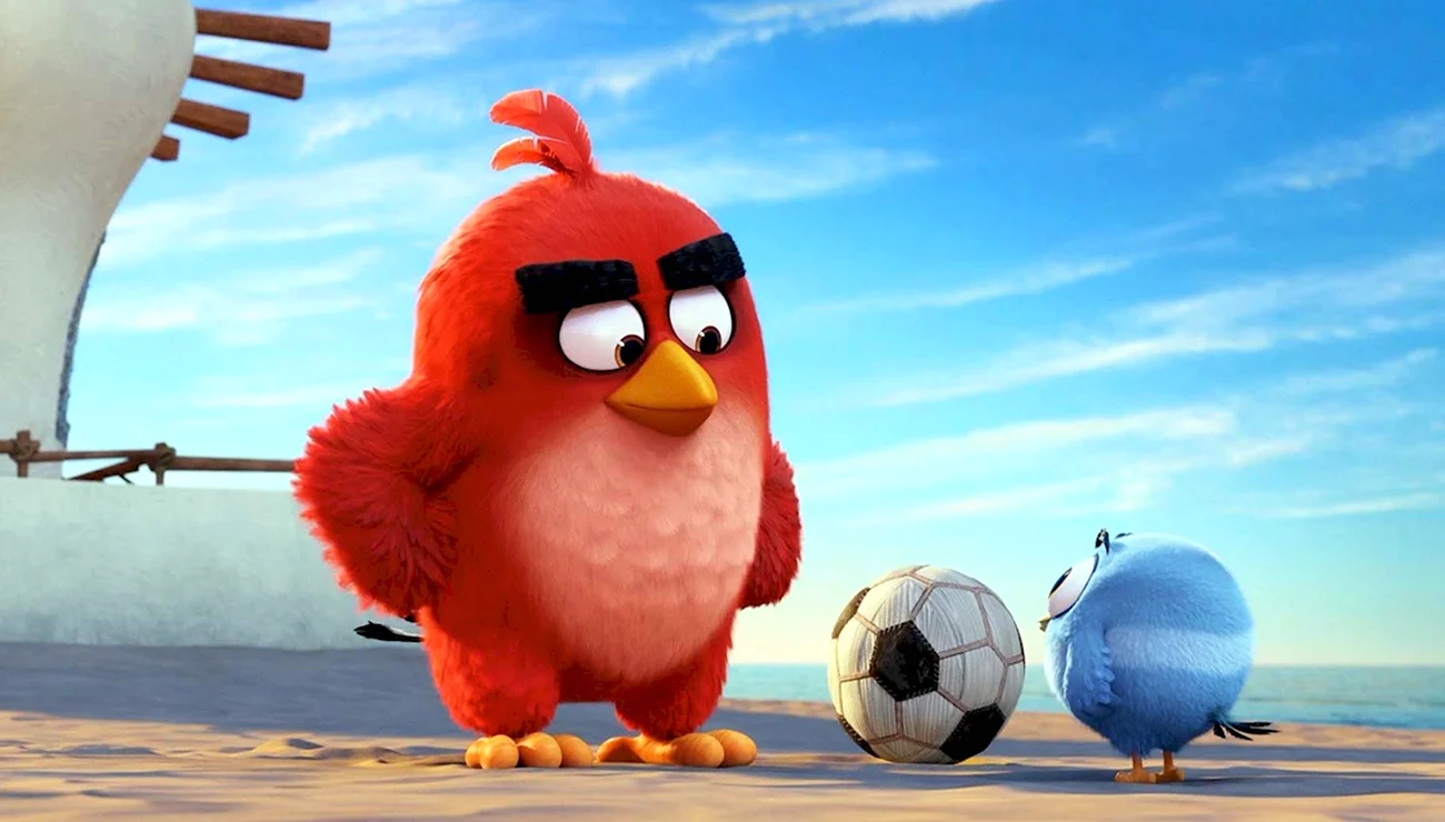 Angry Birds в кино мультфильм 2016. Картинка из мультфильма