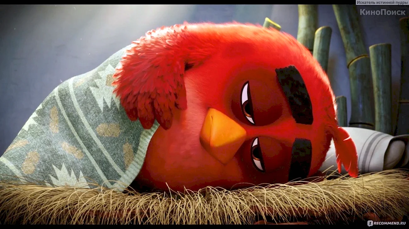 Angry Birds в кино Рэд. Картинка из мультфильма