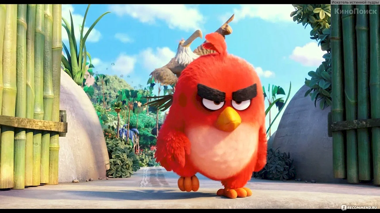 Angry Birds в кино Рэд. Картинка из мультфильма