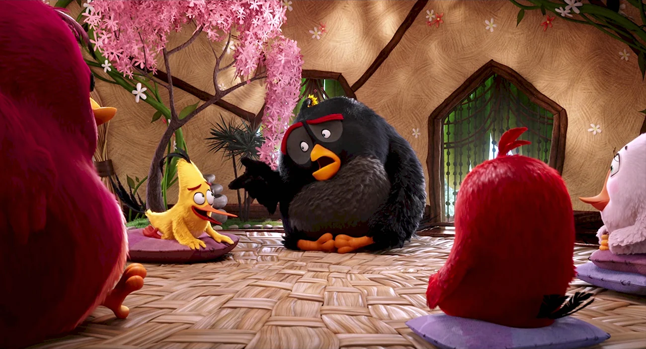 Angry Birds в кино СТС. Картинка из мультфильма