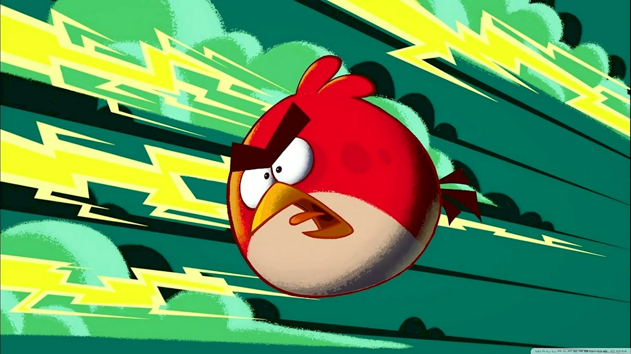 Angry Birds злые птички. Картинка из мультфильма