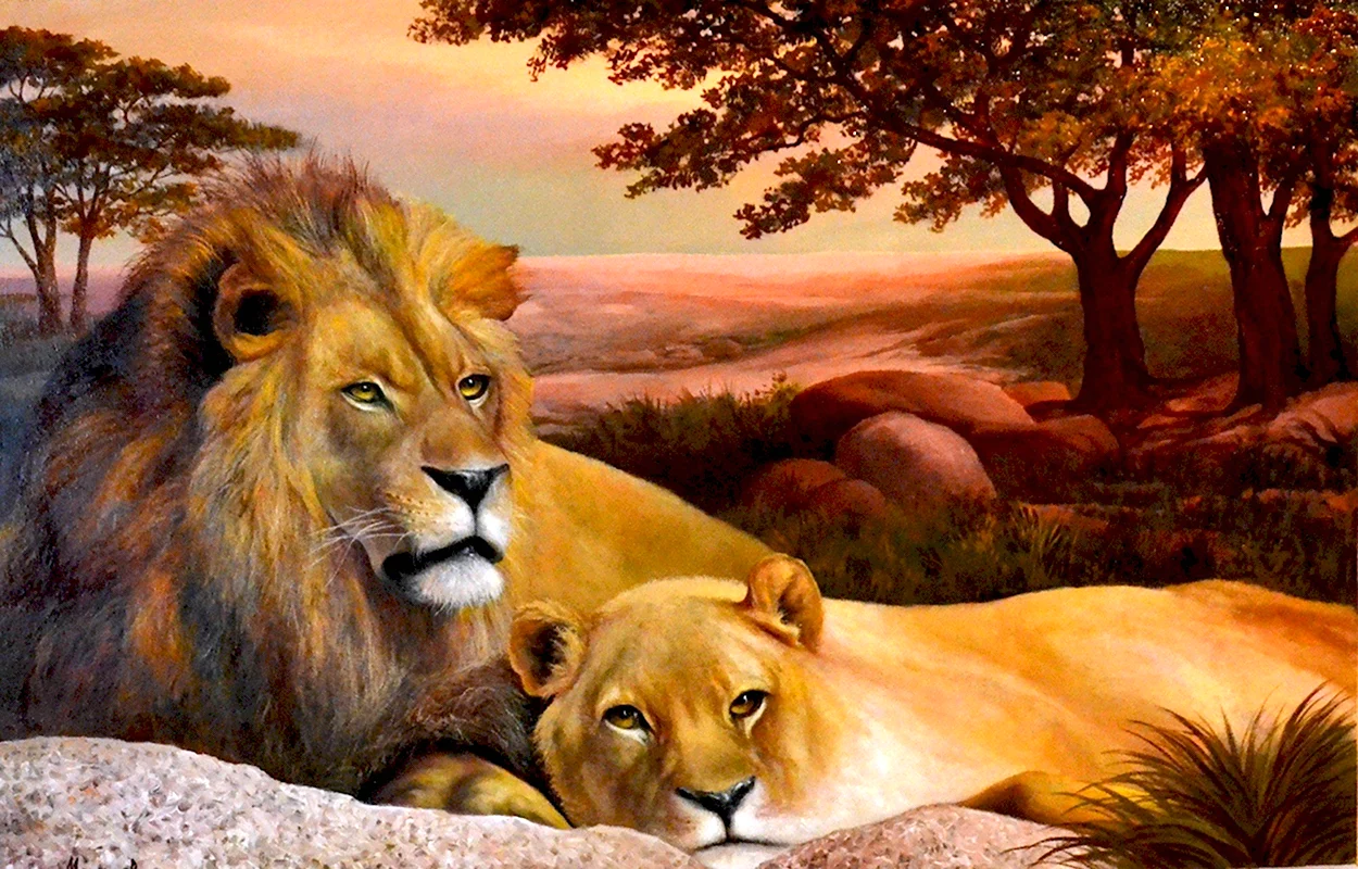 Анималистика Лев львица. Красивое животное