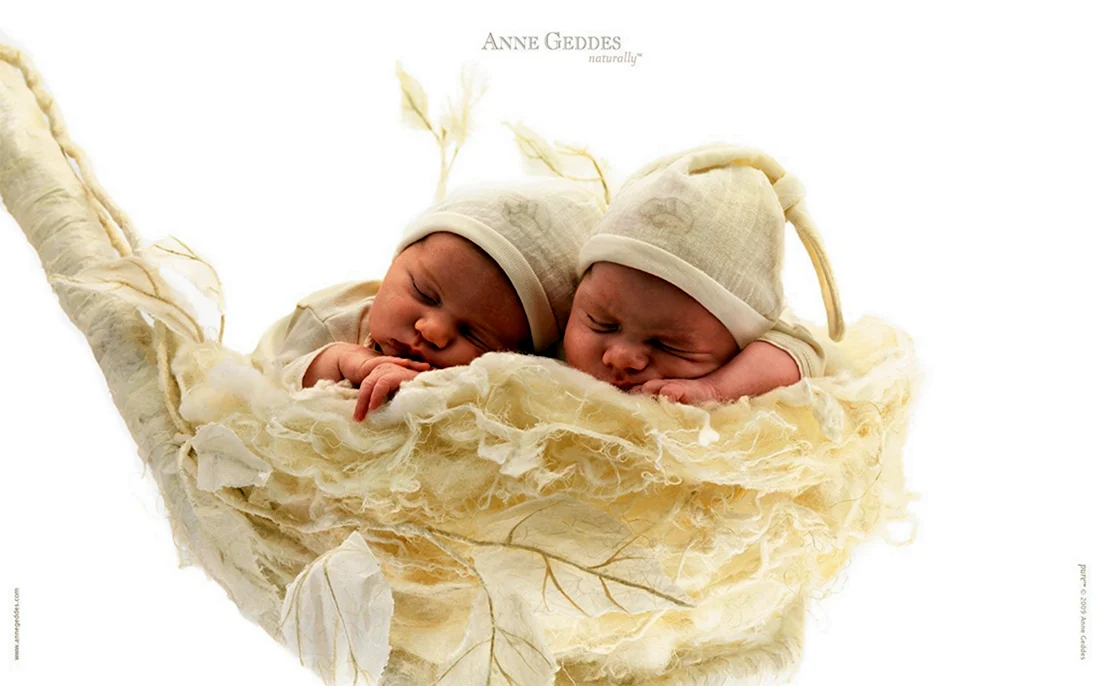 Анна Геддес двойняшки. Открытка с днем рождения