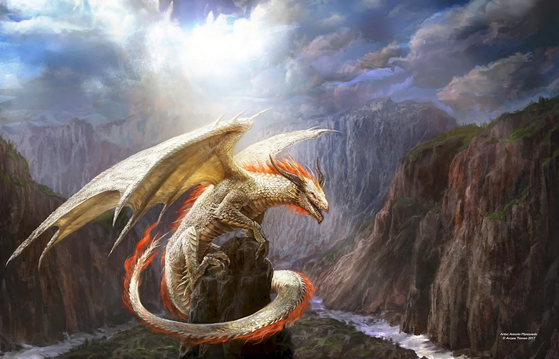 Antonio j Manzanedo драконы. Красивые картинки животных