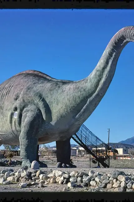 Апатозавр динозавр. Картинка