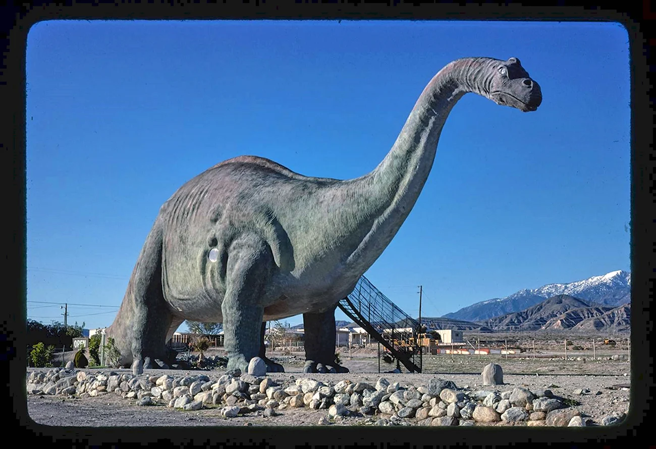 Апатозавр динозавр. Картинка