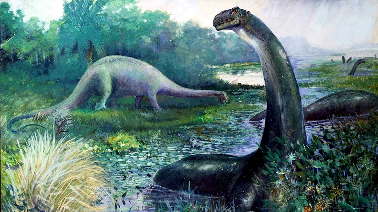 Апатозавр Диплодок Бронтозавр. Картинка