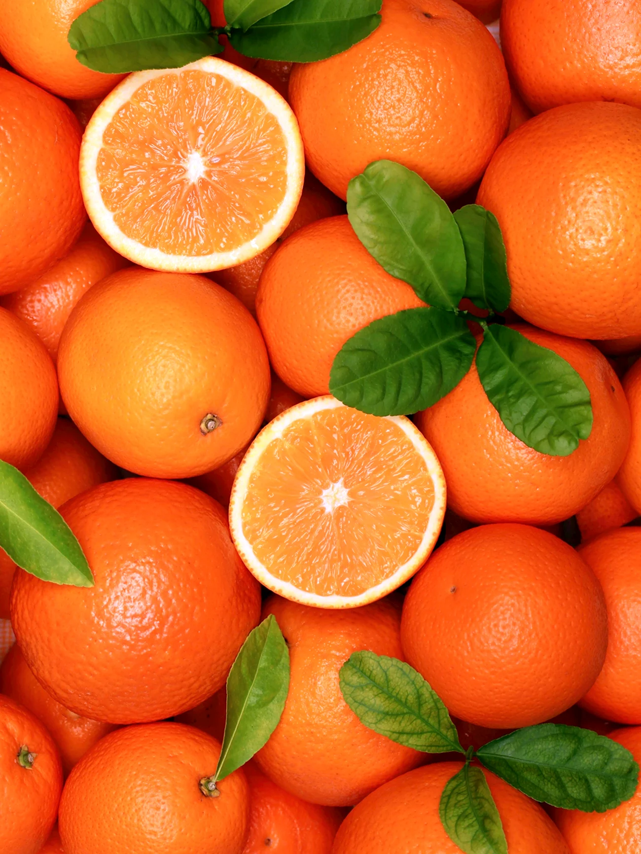 Апельсины. Картинка
