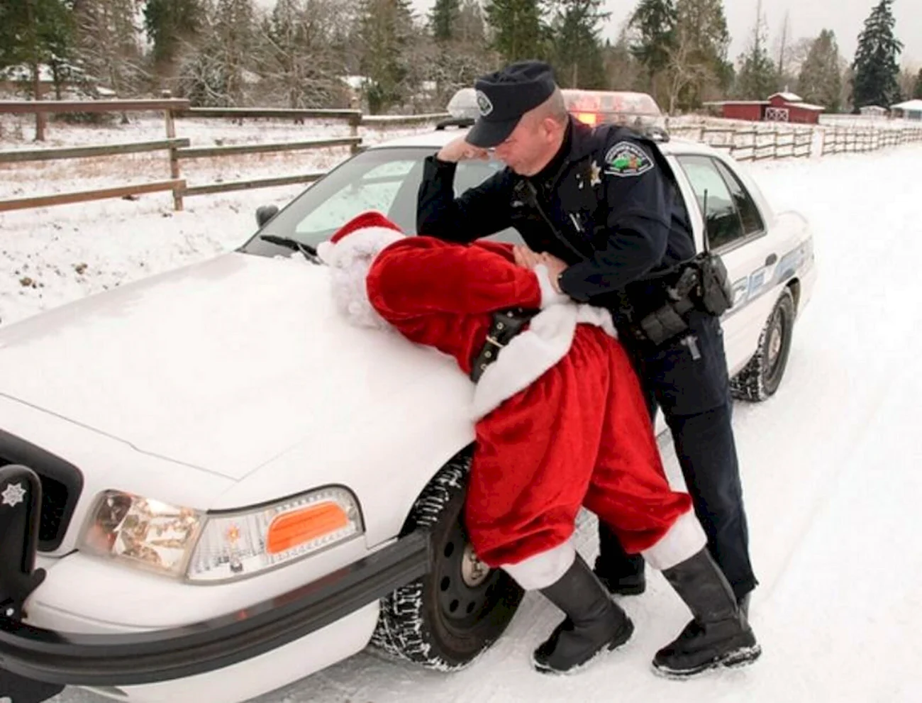 Арест Деда Мороза. Прикольная картинка