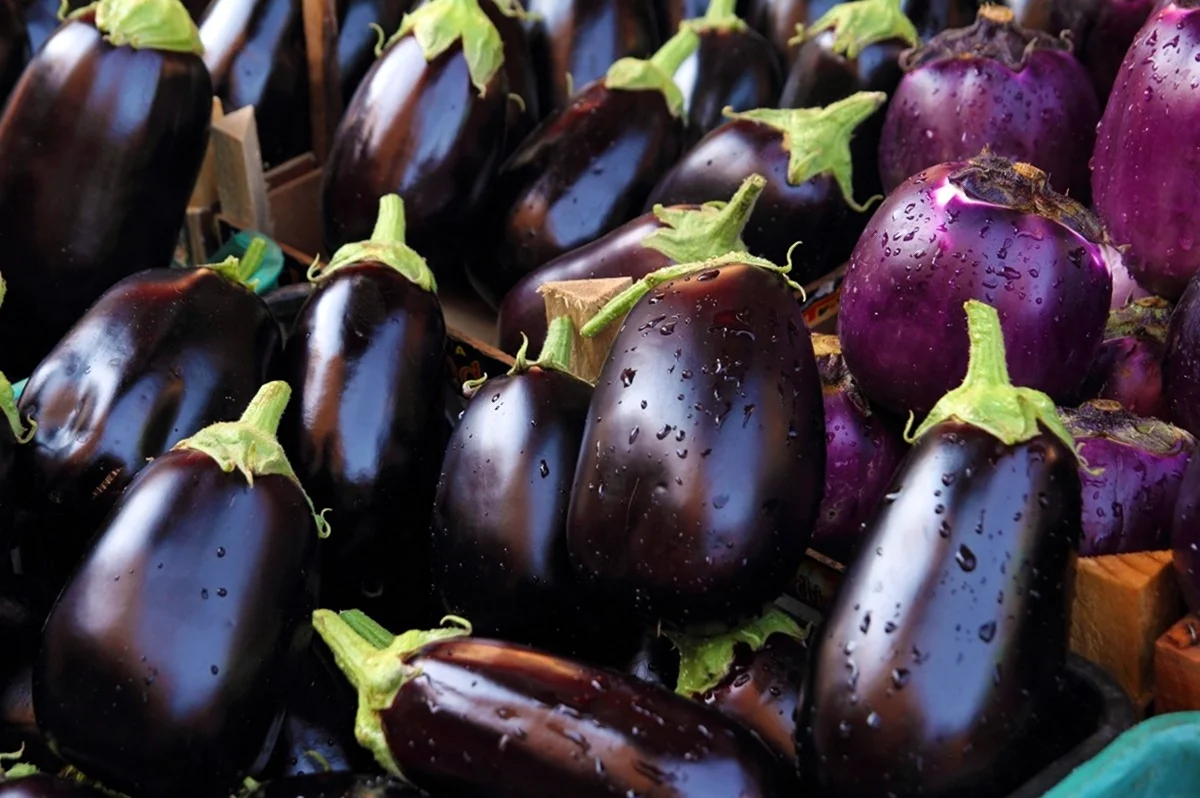 Aubergine Brinjal Eggplant в Грузии. Картинка