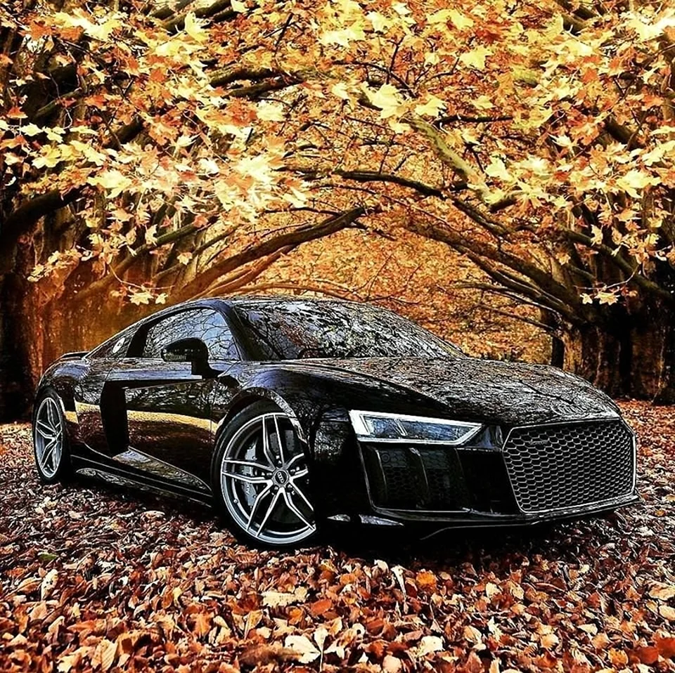 Audi r8. Картинка