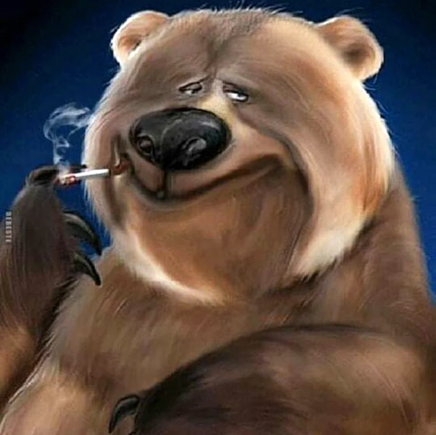 Аватар медведь. Картинка
