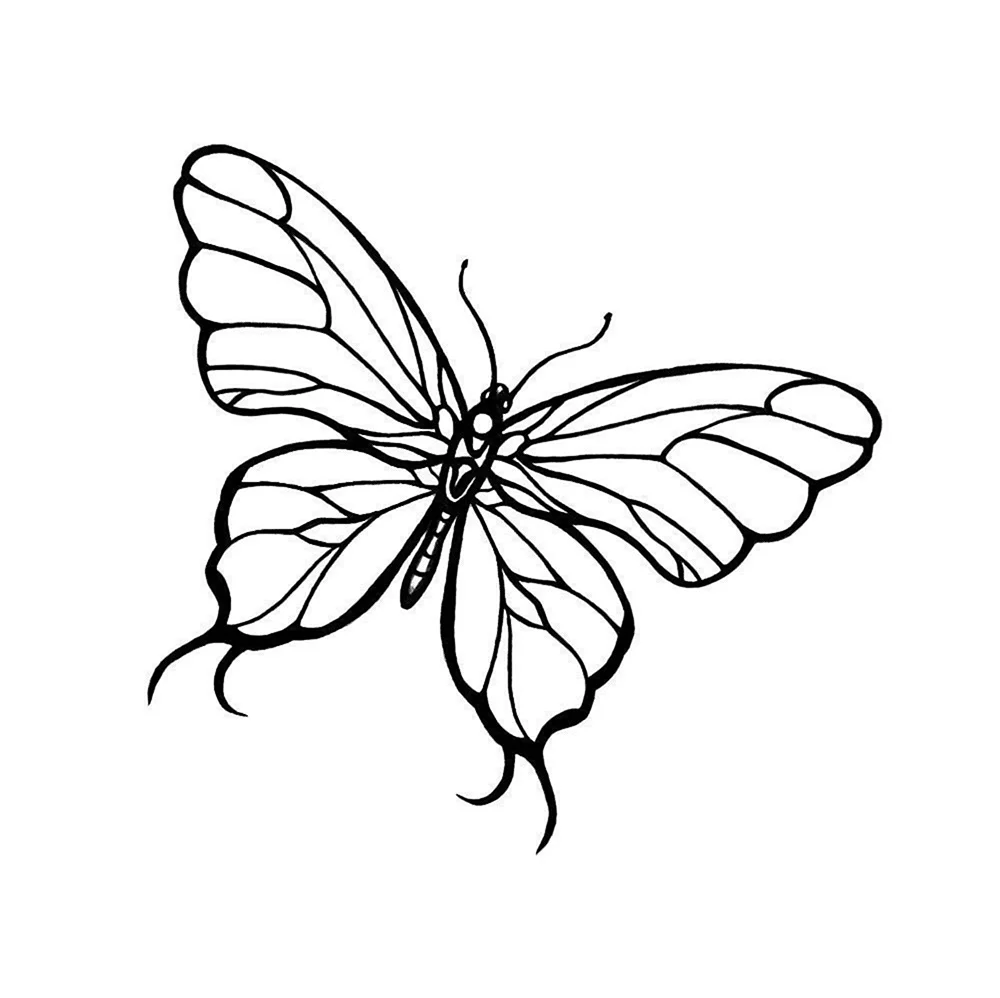 Бабочка эскиз. Для срисовки