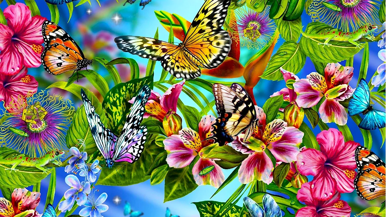 Бабочка на цветке. Красивая картинка