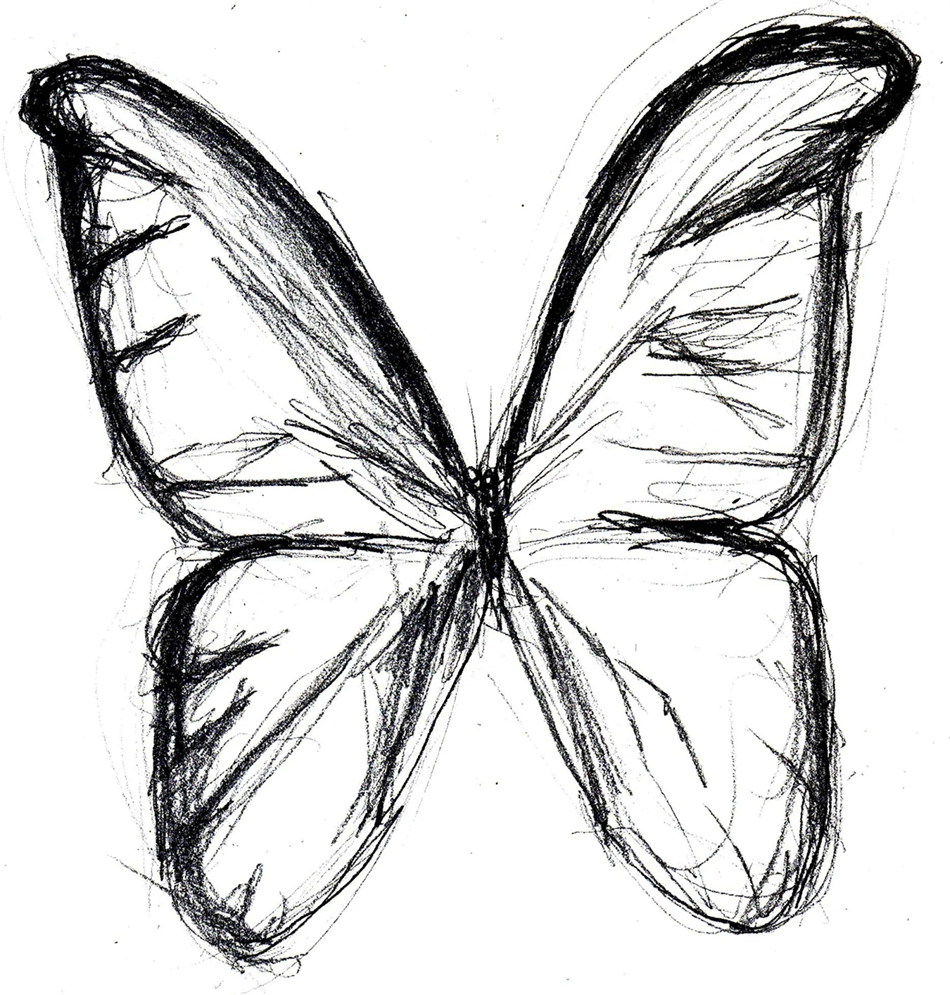 Бабочка рисунок. Для срисовки