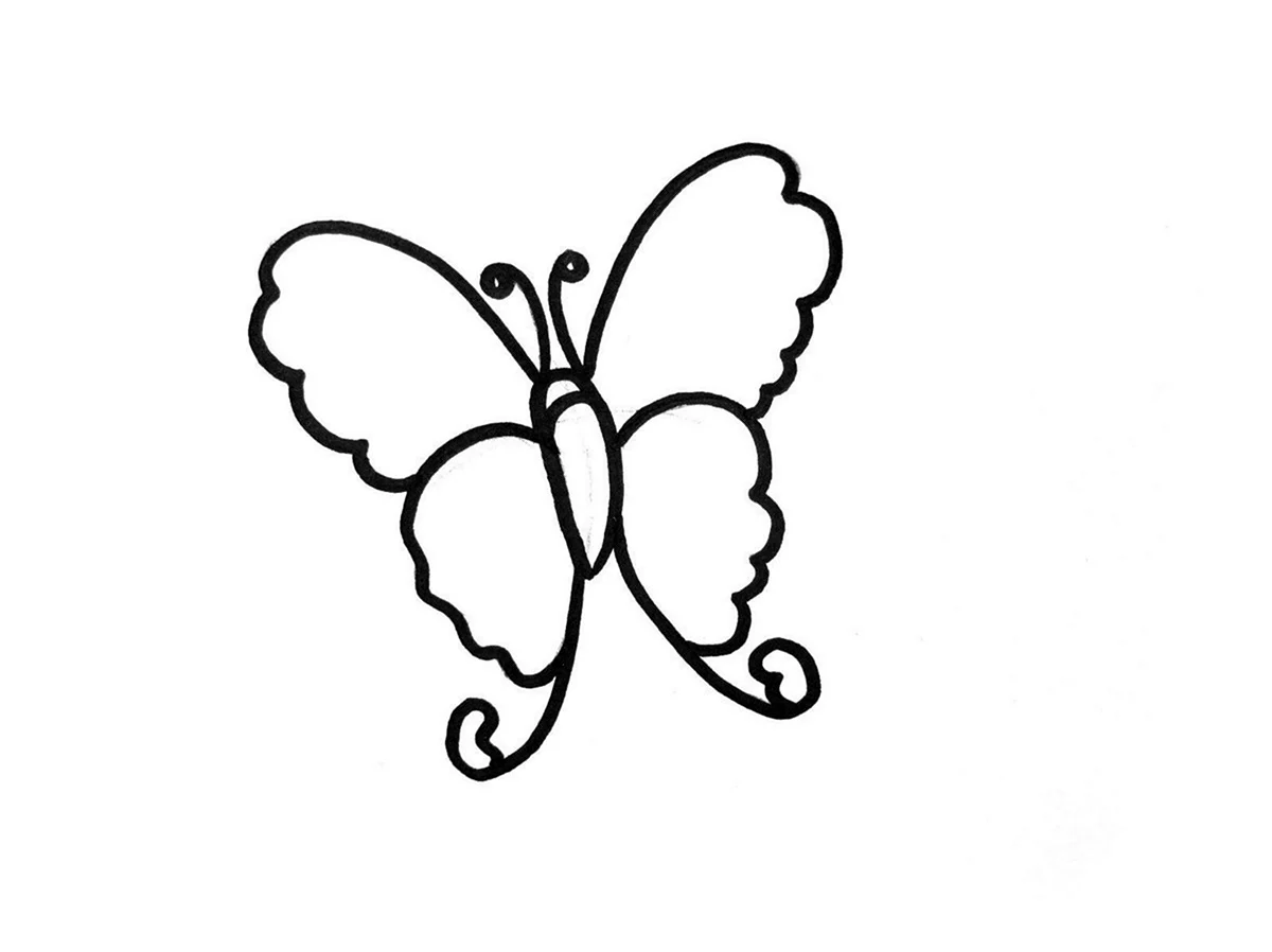 Бабочка рисунок карандашом. Для срисовки