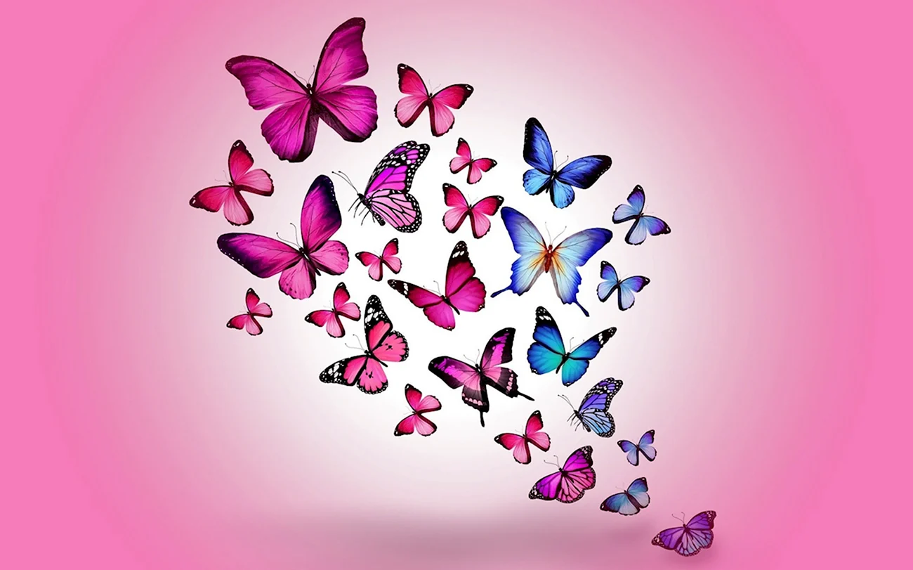 Бабочки. Красивая картинка