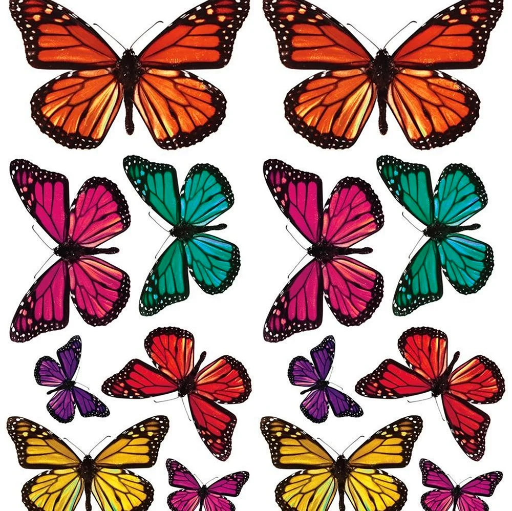 Бабочки для вырезания цветные. Своими руками
