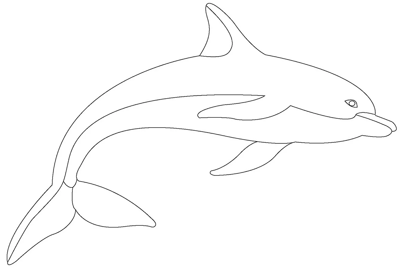 Беломордый Дельфин раскраска. Для срисовки