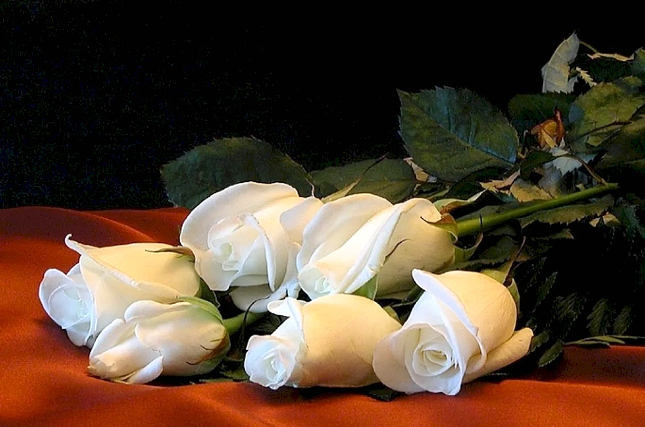 Белые розы доброй ночи. Красивая картинка