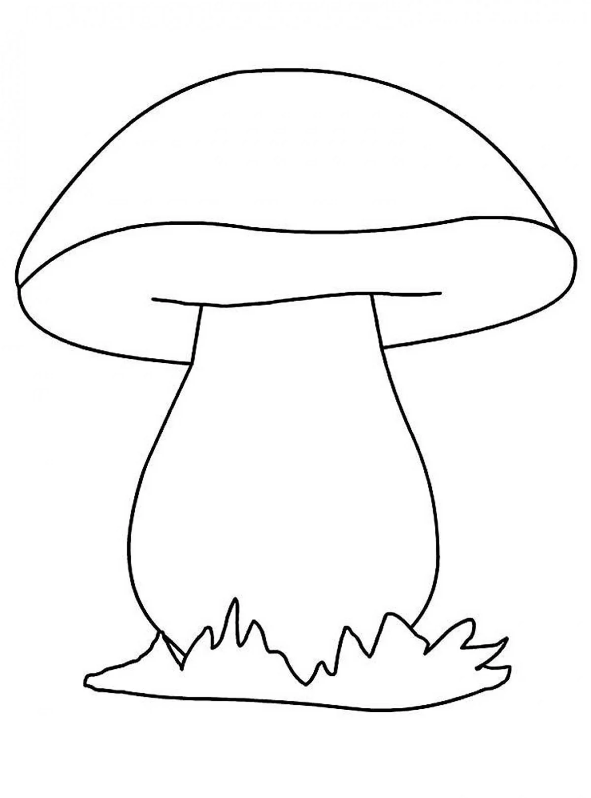 Белый гриб Боровик раскраска. Картинка