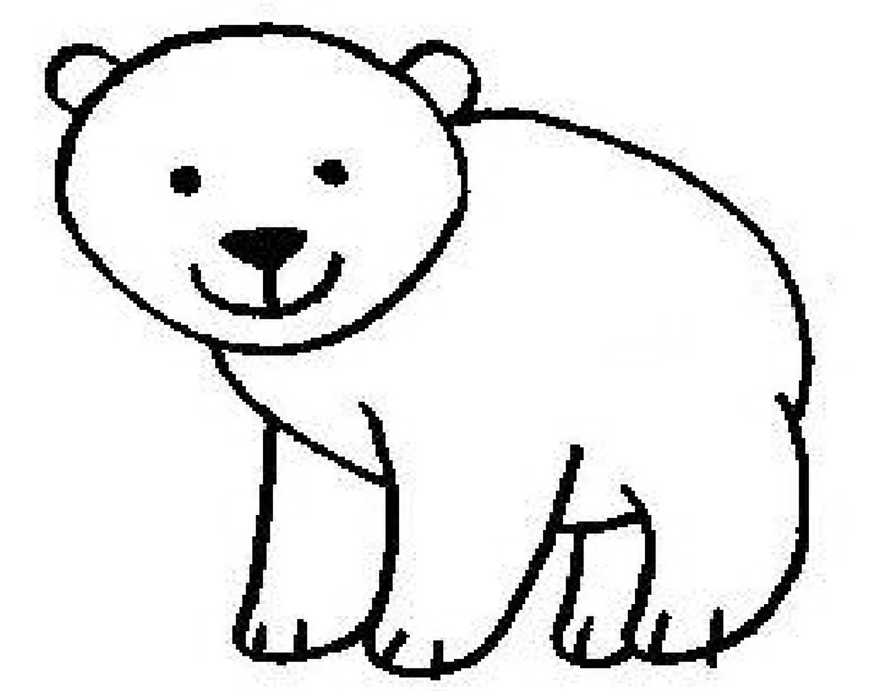 Белый медведь рисунок для детей. Для срисовки