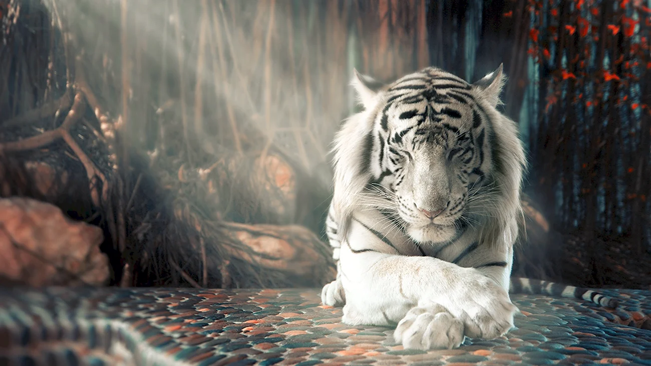 Белый тигр фильм 2021. Картинка