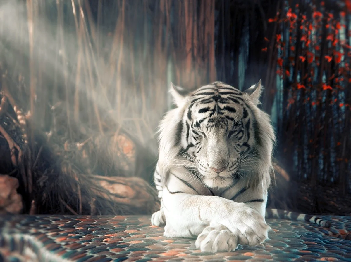 Белый тигр фильм 2021. Картинка