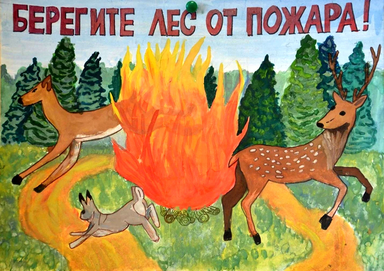 Берегите лес от пожара рисунки. Картинка
