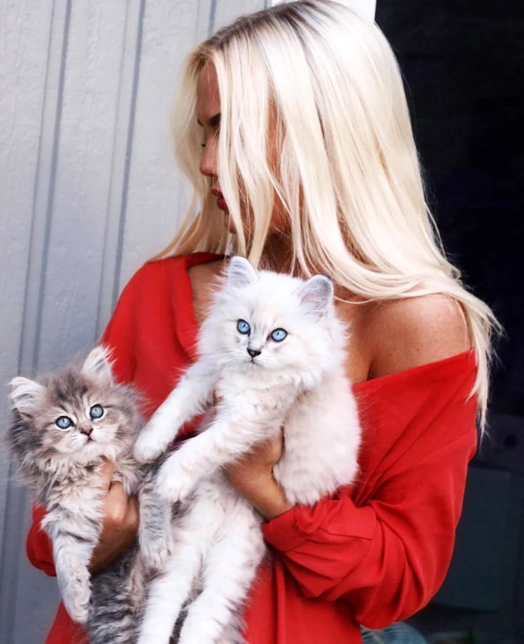 Блондинка с кошкой. Красивая девушка