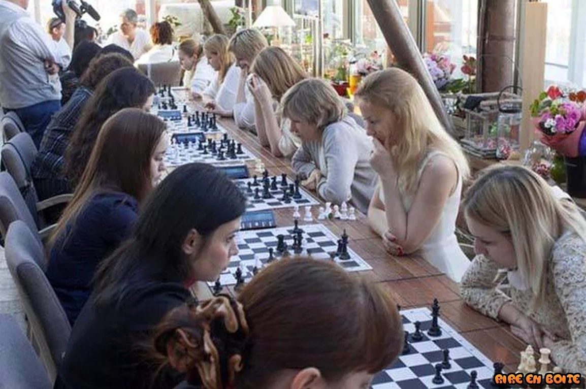 Блондинки против брюнеток шахматы. Прикольная картинка